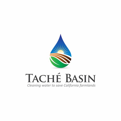 Company that clean water