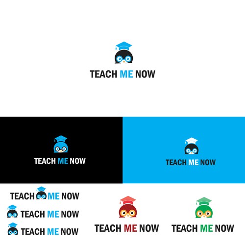 Penguin logo for a teaching company