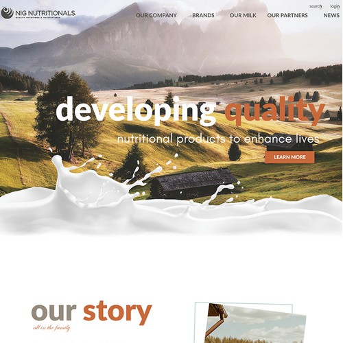 Business Website Design UX/UI Branding 