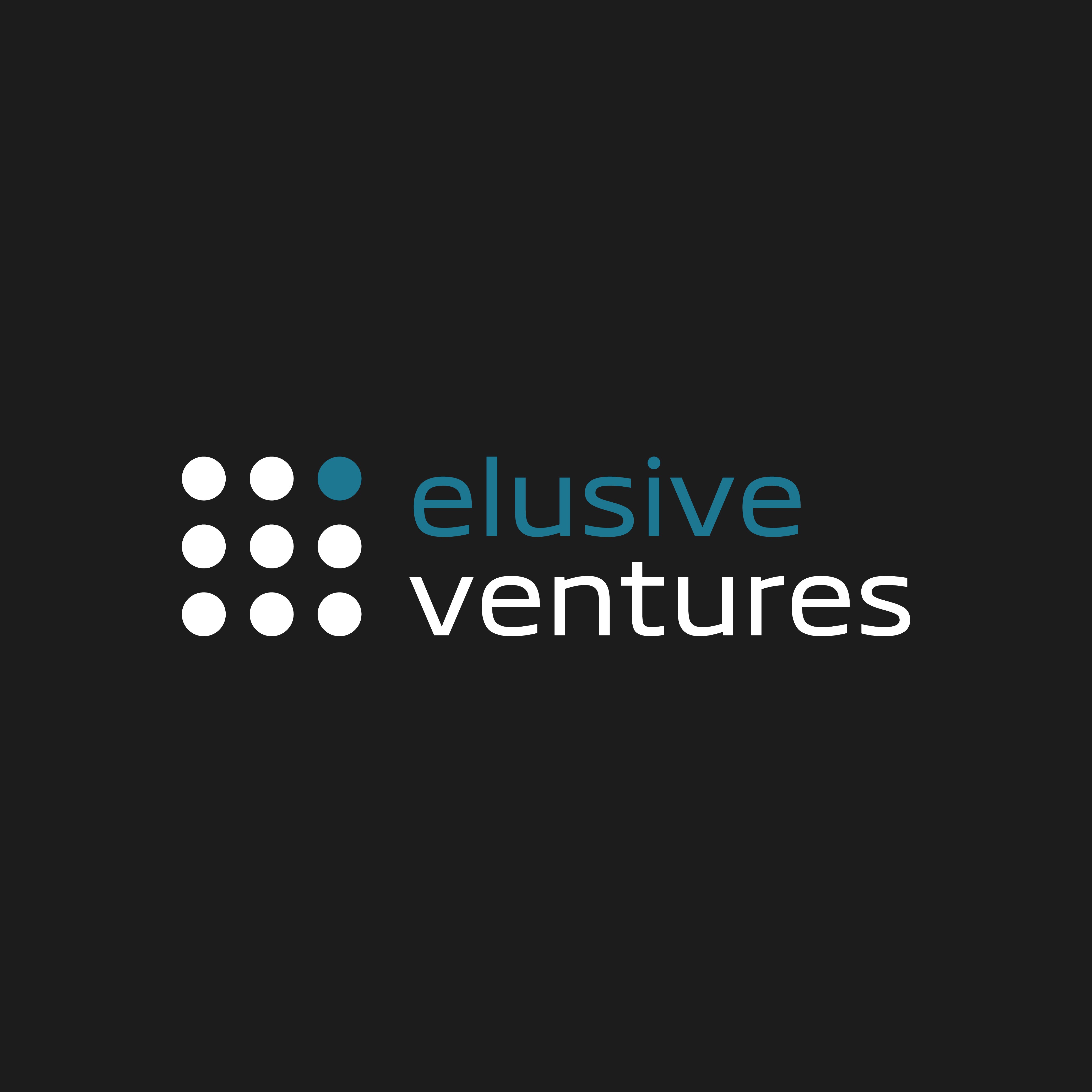 Create a clean & modern brand for Elusive Ventures!