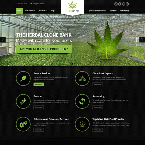 Website for a Medical Marijuana Scientific Company