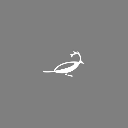 Bold logo concept for The Wilde Bird Care Company