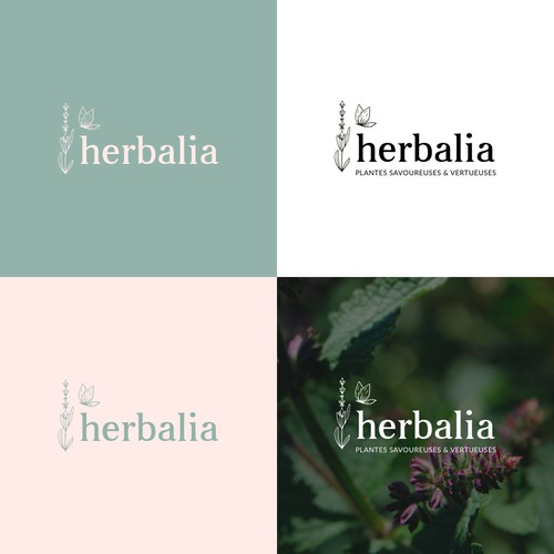 Logo for concept around edible and cosmetic herbs and plants