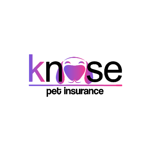 Logo Knose 