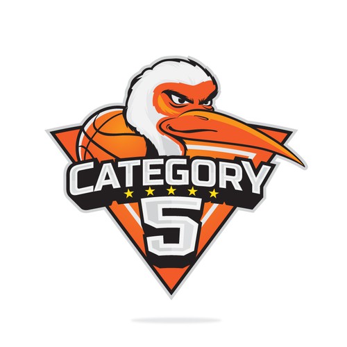 Logo for Category 5