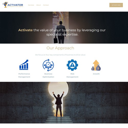 Website - Professional Services