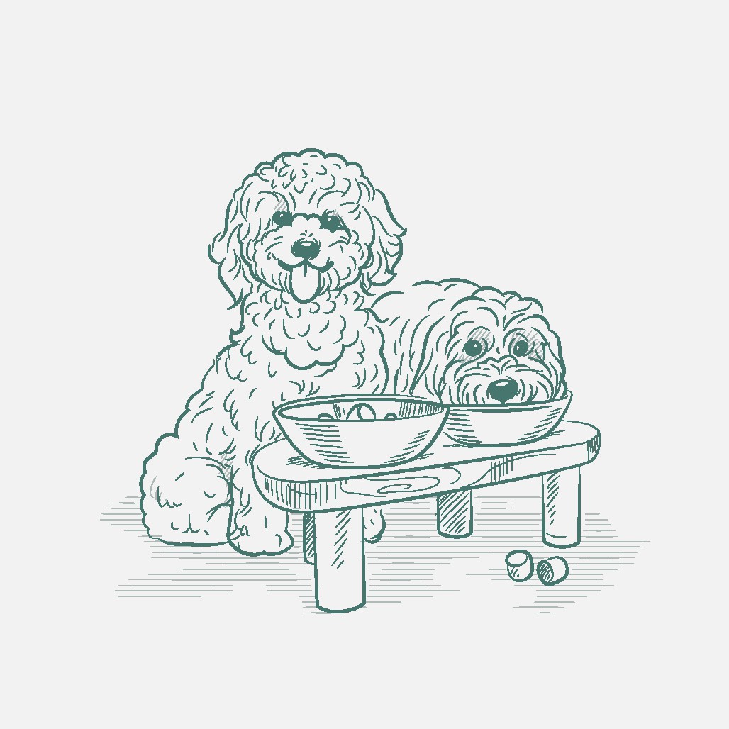 Minimalistic line drawn Illustration of dogs with feeding-station product