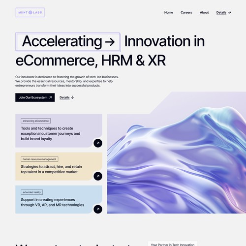  Fun, Malibu Tech-Incubator Website Design Homepage