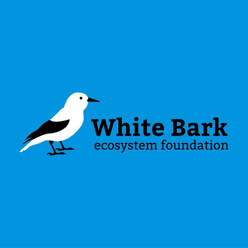 Needed: a more bold & hip logo for a high elevation Whitebark pine, a soon to be endangered species