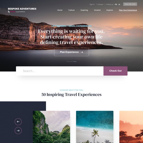 Website design for travel company