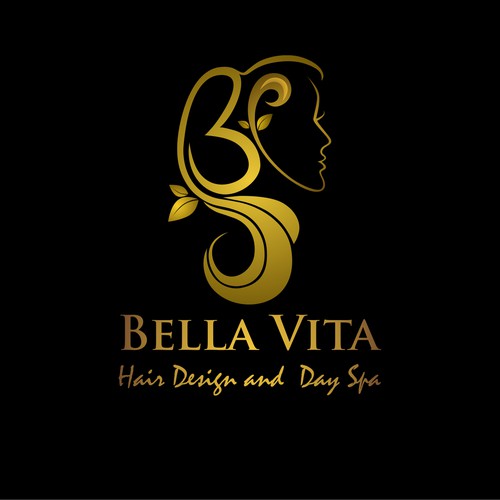 Bella Vita Hair Design and Day Spa needs a new logo