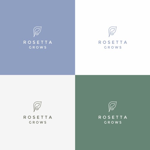 Rosetta grows 