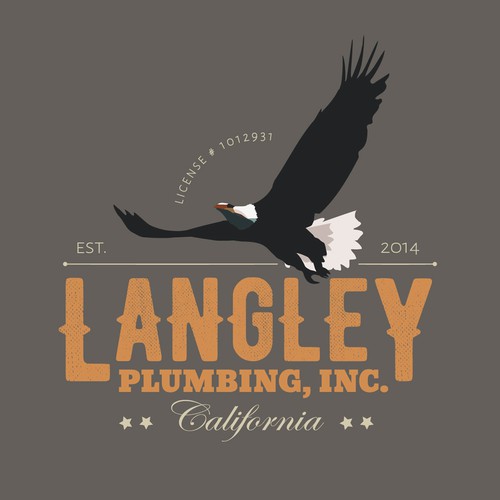 Langley Plumbing, Inc. Eagle