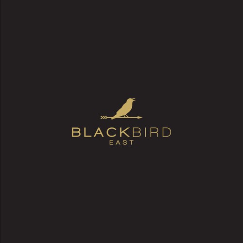 Black bird