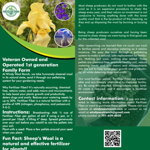 Flyer Design