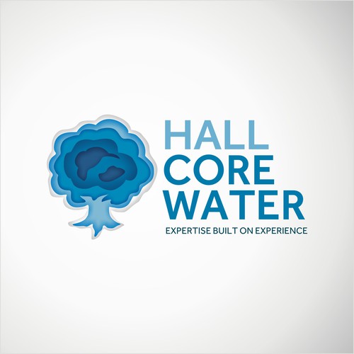 hall core