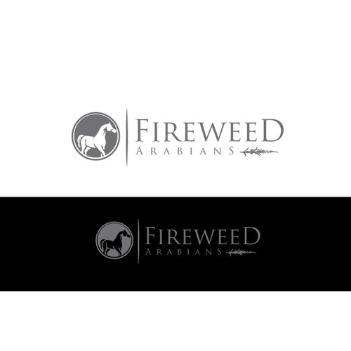 Create a logo incorporting the Arabian horse and fireweed (first growth flower after a forest fire)