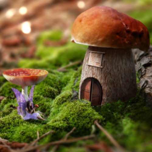 Fairy tales