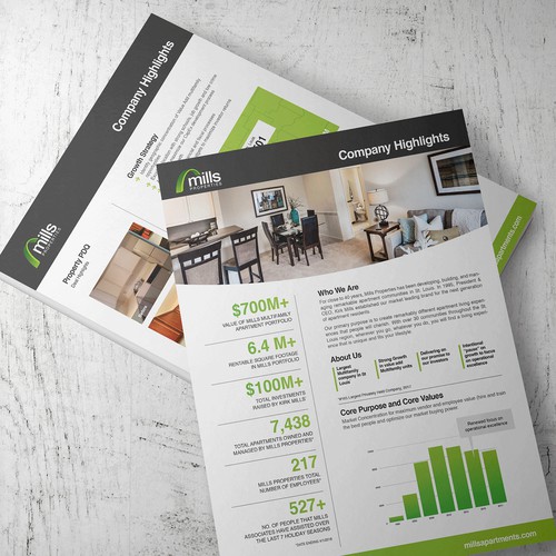 Company Overview Brochure