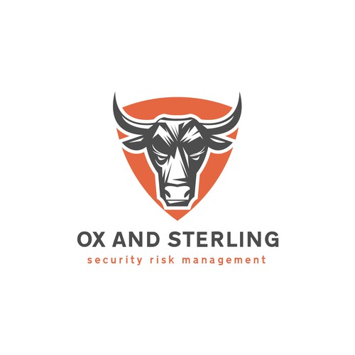 logo concept for cyber security company