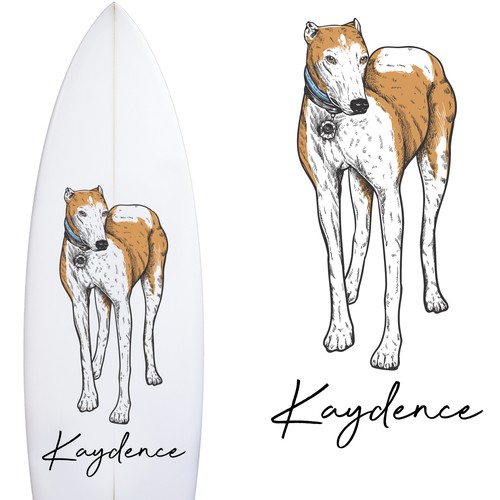 Kaydence