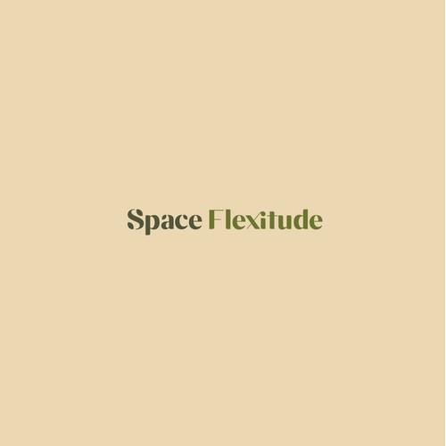 Space Flexitude Logo Design