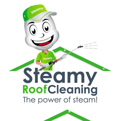 steamy roof cleaning