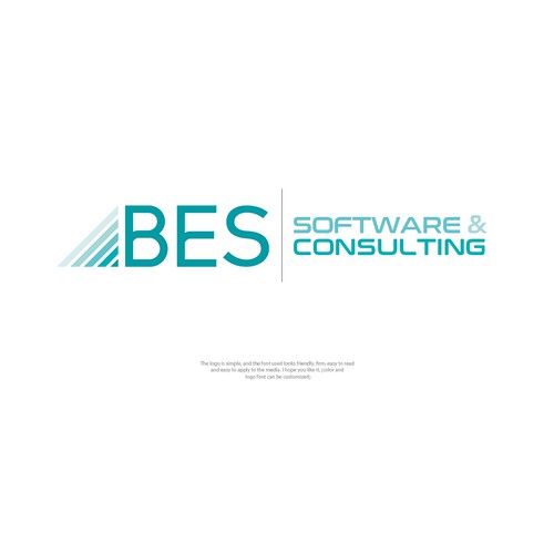 BES SOFTWARE & CONSULTING