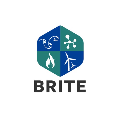 BRITE (Brussels Institute for Thermal-fluid systems and clean Energy) is a new Joint Research Group between two universities (ULB and VUB, both located in Brussels).