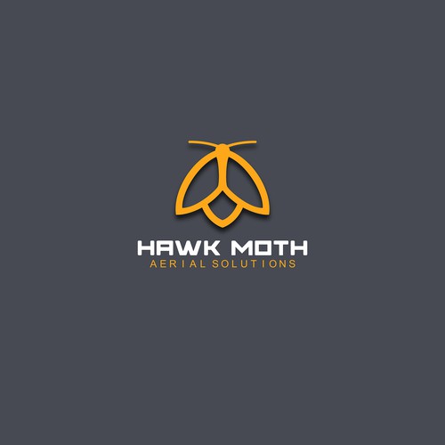 Hawk Moth Media