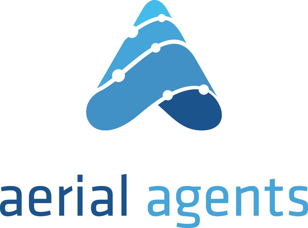 Over and Above design needed for Aerial (drone) Photography/Video service provider.