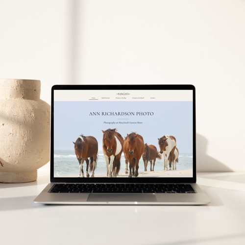 Wix Website for a Wildlife Photographer