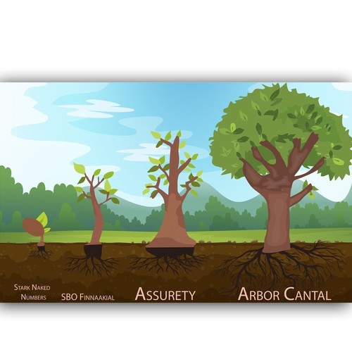 Tree Growth Cycle Illustration