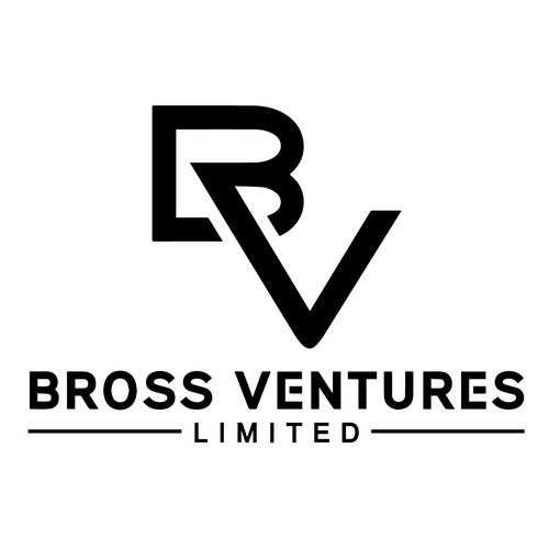 Logo concept for Bross Ventures company