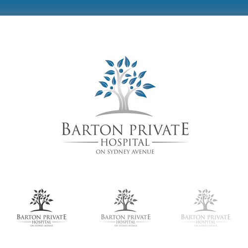 Logo Concept for Barton Private Hospital