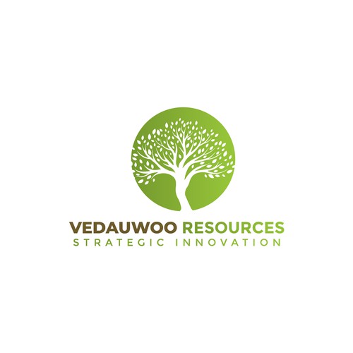 Logo Concept for Vedauwoo Resources