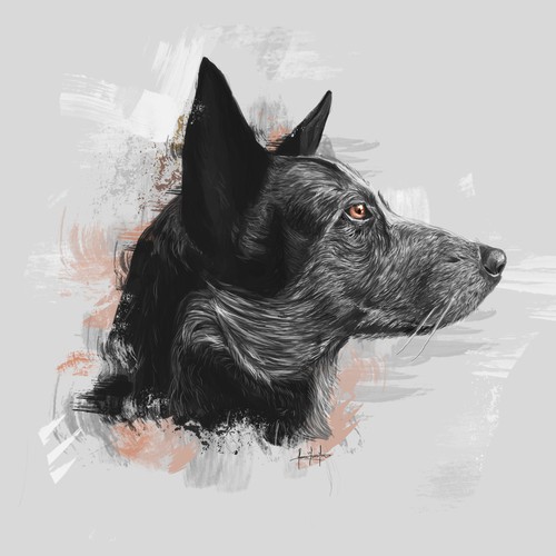 dog portrait