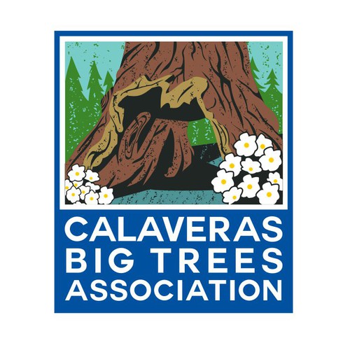 Calaveras Big Tress Association