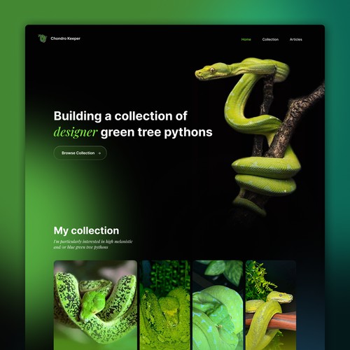 Green Tree Python website redesign