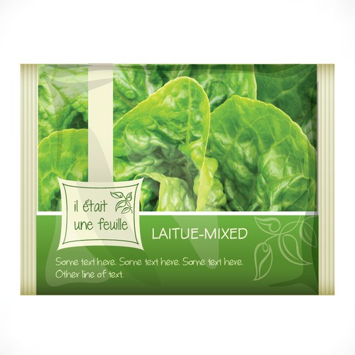 Create a logo design for a hydroponic lettuce farm