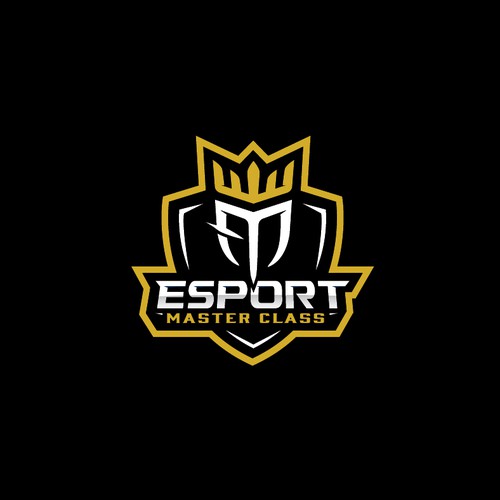 Logo concept for an esports academy