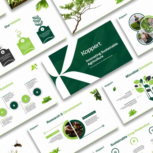 koppert Presentation Template Design 