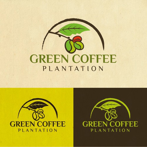 logo concept for green coffee planttion