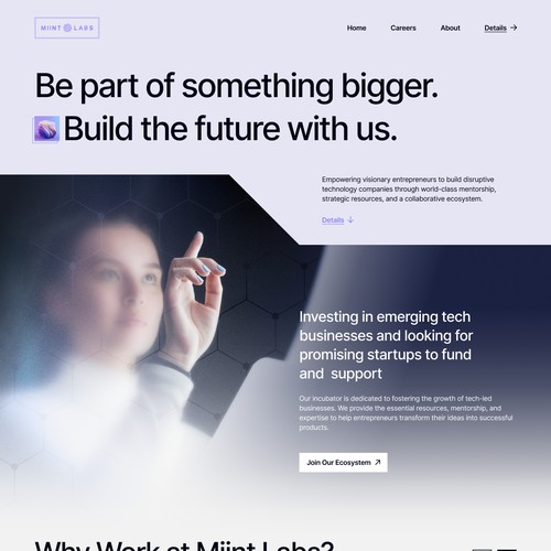 Fun, Malibu Tech-Incubator Website Design