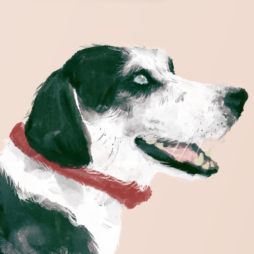 Dog Ted Illustration 