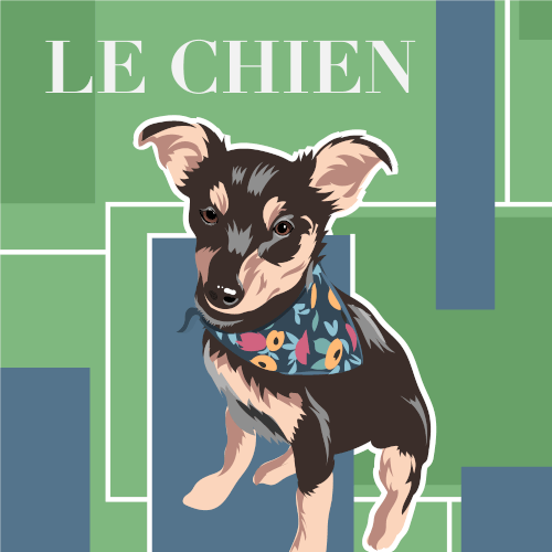 le chien