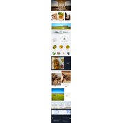 Reviewed design
