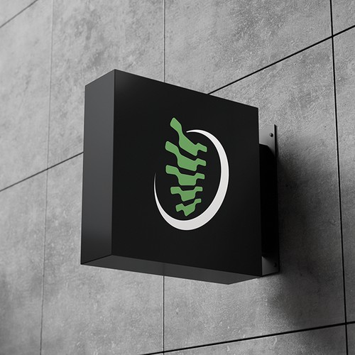 High-Performance Chiropractic Brand Identity