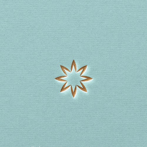 strong branding concept with a negative space logo a star in a flower