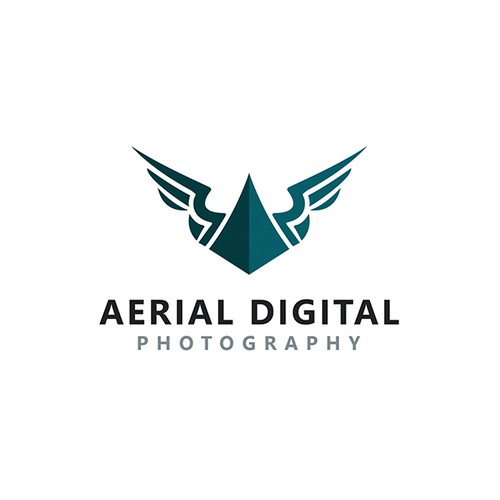 Aerial Photography Logo Design